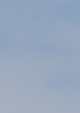 Ørneblikk på fjorden