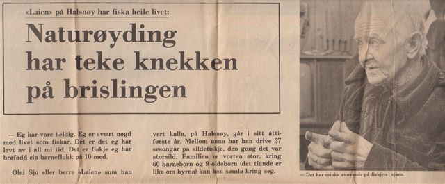 Olai Sjo om brislingfiske  1/3 Utklipp Frode Sæbø, 1977