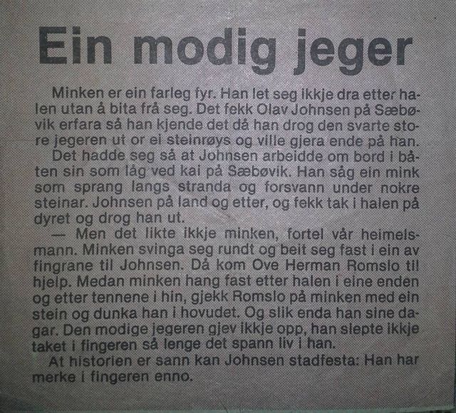 Olav Johnsen  fekk eit ublidt møte med minken, men då kom Ove Romslo til hjelp. Utklipp Ove Herman Romslo