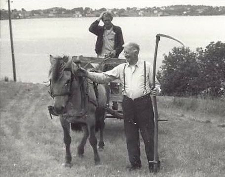 Rabben, Hans og Samson, foto Karin Gram-Nygaard/Ragnar Underland