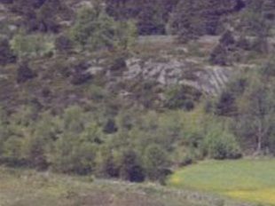 Toftevåg