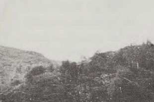 Toftevåg